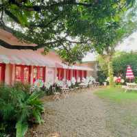 Nature’s Embrace at Patom Organic Living Cafe