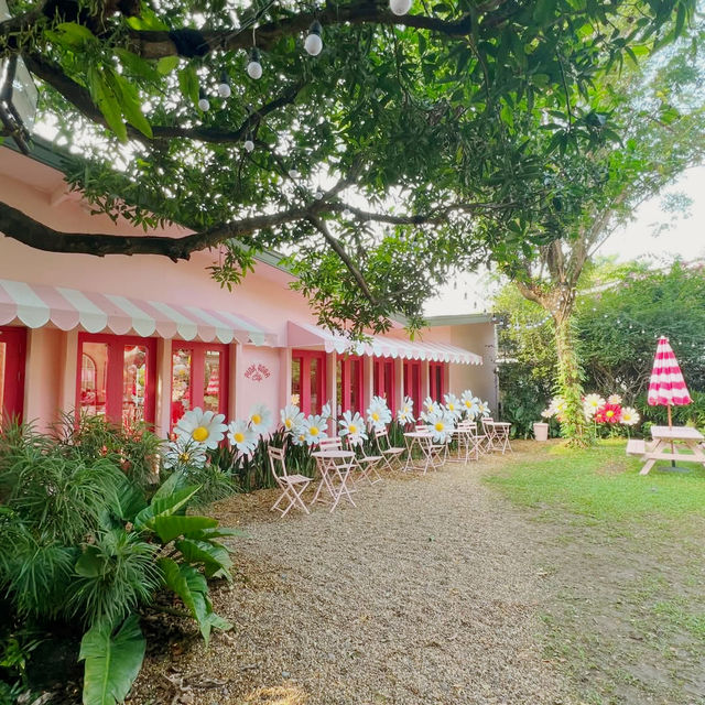 Nature’s Embrace at Patom Organic Living Cafe
