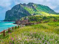 Perfect Blend of Relaxation and Adventure