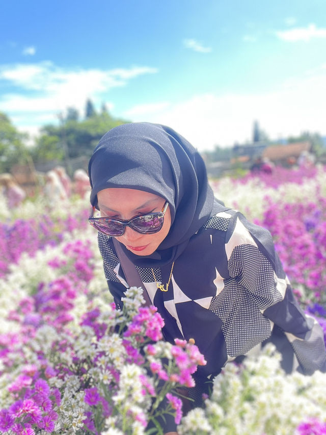 Flower Garden 