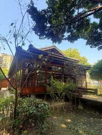 台中｜百年獄官宿舍變身漫畫時光隧道 九重葛怒放輝映日式建築群