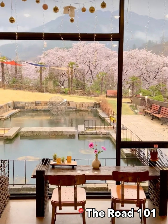 Best Spring Cafés Outside of Seoul in Korea 🌸