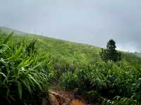 ภูสอยดาวหน้าฝน กับทุ่งหญ้าเขียวขจี 🌧️🍃