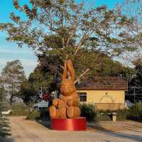 Midwinter • Khaoyai, Nakhon Ratchasima