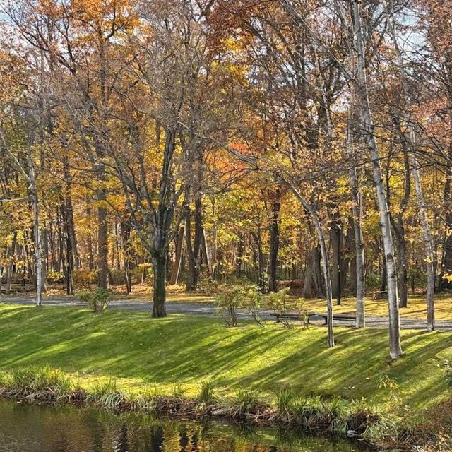 Sapporo Art Park