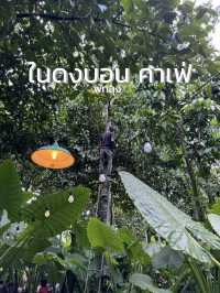 คาเฟ่กลางสวน บรรยากาศร่มรื่นที่ ในดงบอน คาเฟ่