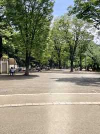도쿄에서 가장 살고싶은 동네 기치죠지 여행코스 🏠