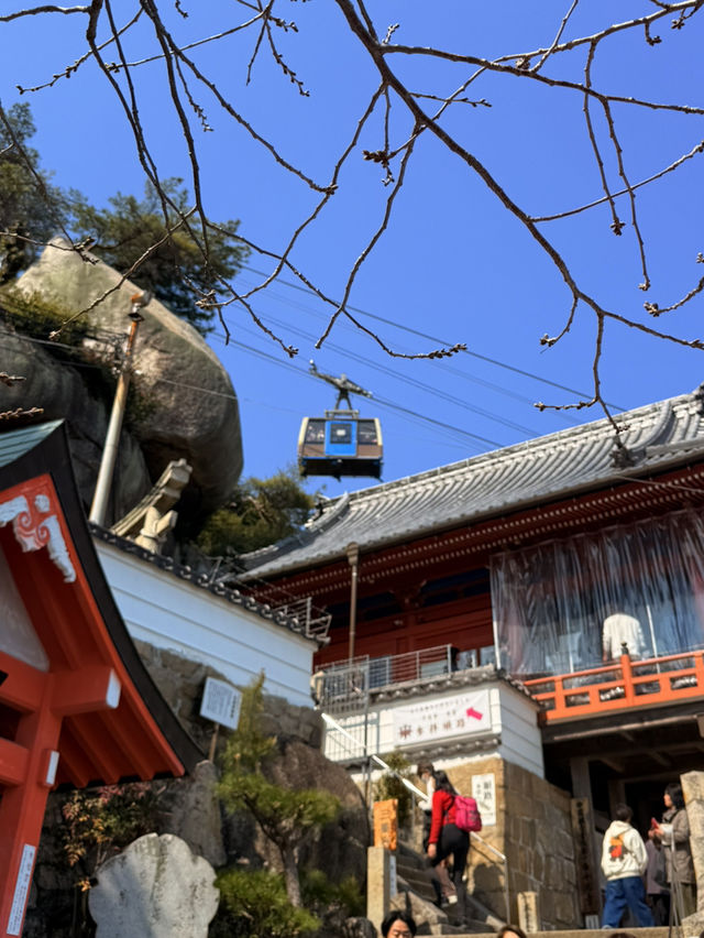 尾道｜纜車從頭頂經過的1200年古寺 中國三十三觀音第十番札所