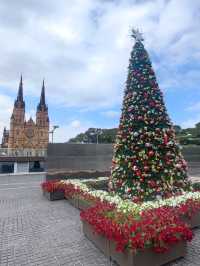 #雪梨聖瑪麗教堂St Mary's Cathedral