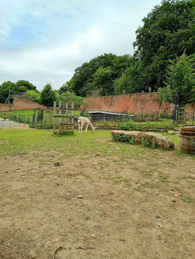 Heaton Park