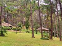 Pang Ung Camp Site - ลานกางเต็นท์ปางอุ๋ง