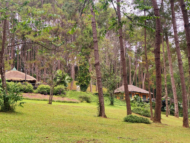 Pang Ung Camp Site - ลานกางเต็นท์ปางอุ๋ง