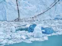 【アルゼンチン・パタゴニア地区】間近に楽しむ迫力の大氷河🧊