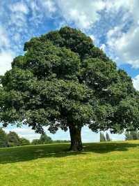 Heaton Park