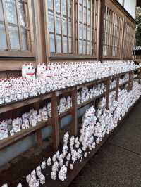 東京豪德寺 