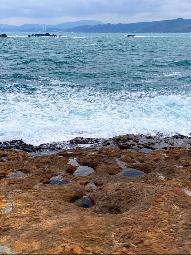 台北景點｜野柳地質公園🌊