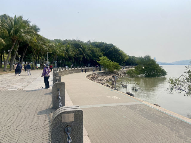 🧎沉浸在綠意與海濱風光中🌟深圳灣公園🌳