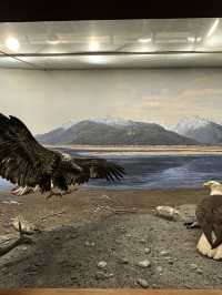 American Museum of Natural History