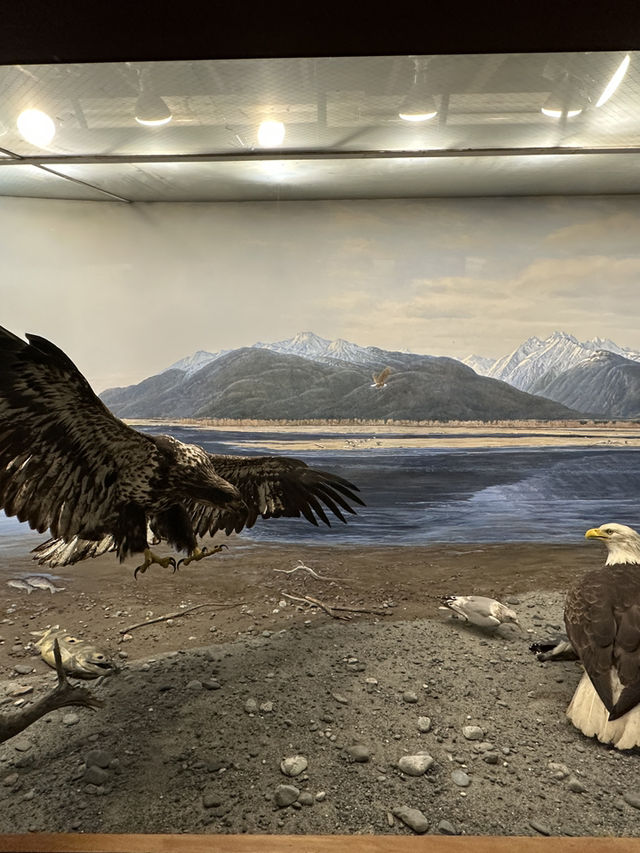 American Museum of Natural History