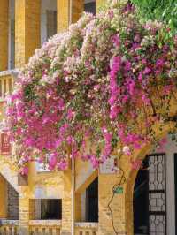 In Guangzhou, spring always spills its paint palette onto the pages of the past.