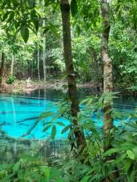 the MOST amazing day trip to Emerald Pool