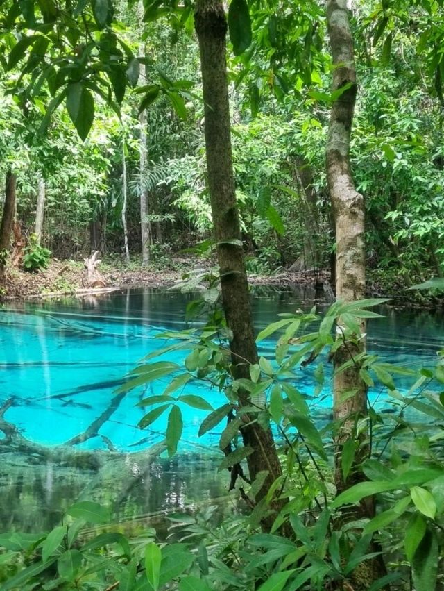 the MOST amazing day trip to Emerald Pool