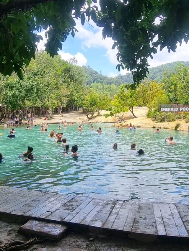 the MOST amazing day trip to Emerald Pool