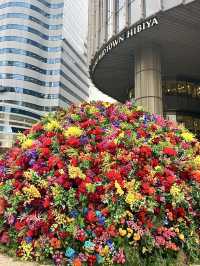 Blooming Flowers at Hibiya Midtown! 🌸🌷