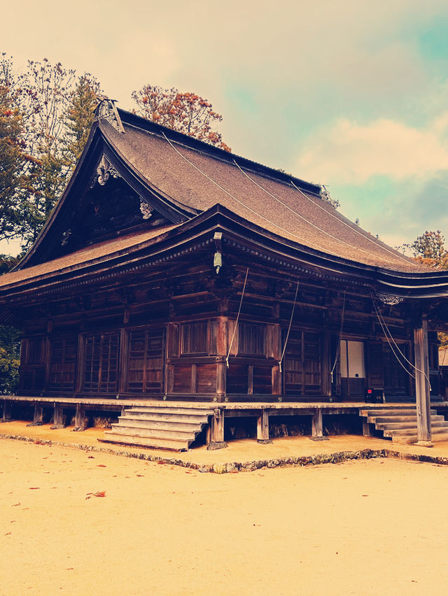 A Soulful Day Trip to Koyasan: A Journey Back to Peace 🧘‍♀️🌿