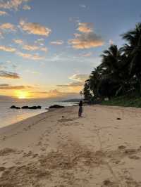 Fiji coral coast 