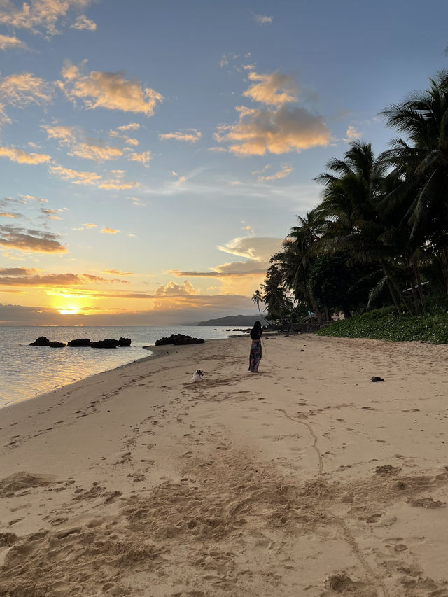 Fiji coral coast 