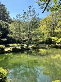 【金沢×尾山神社】楽器の庭と言われる緑溢れる庭園