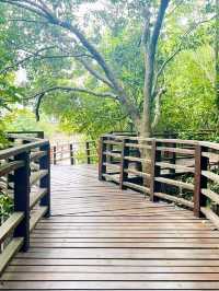สะพานไม้ยาวที่สุดในระยอง