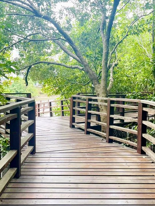 สะพานไม้ยาวที่สุดในระยอง