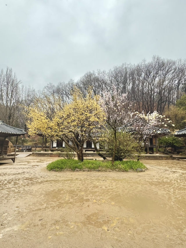 Immerse yourself to a Traditional Korean Culture of Late Joseon Era