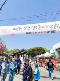 핑크빛 꽃잔디로 물드는 산청 생초국제조각공원💖