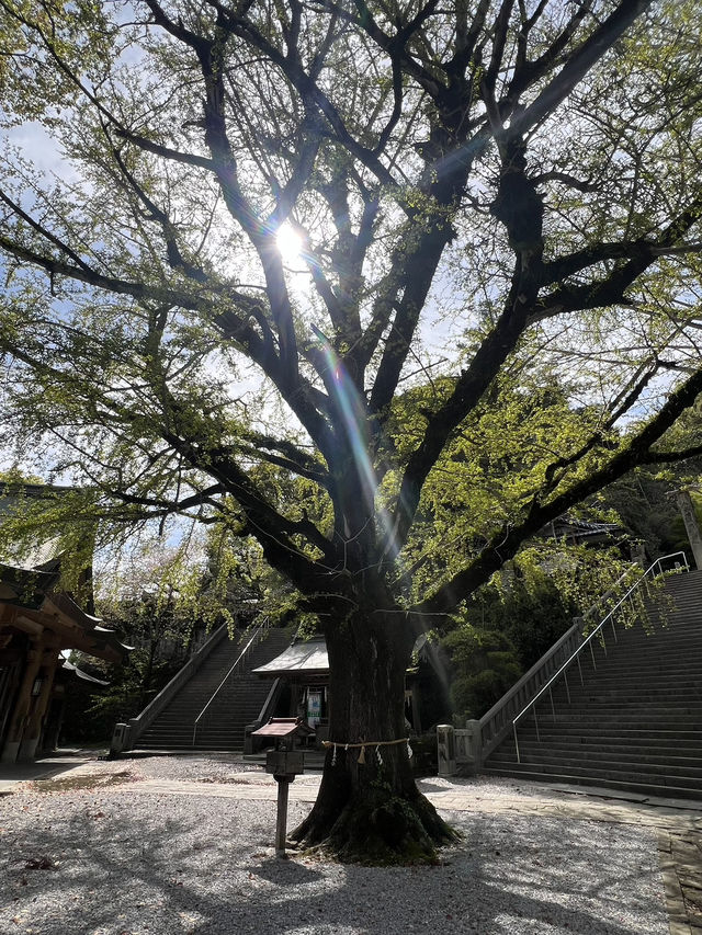 日本四國