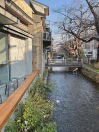 【京都/河原町】川沿いのおしゃれカフェ☕️✨✨