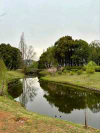 Longbei Mountain Forest Park: A Verdant Oasis in the City