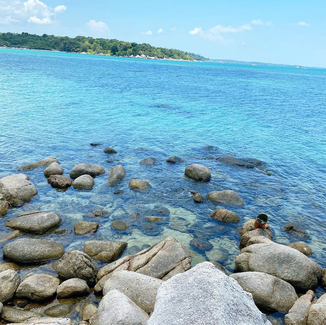 Trikora Beach: A Tropical Paradise 