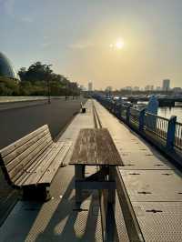Spring Walk at Yumenoshima Park