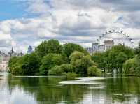 Nature Escape at Hampstead Heath