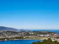 Wellington from the Top: A Mount Victoria Must-See