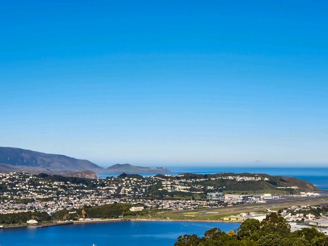 Wellington from the Top: A Mount Victoria Must-See