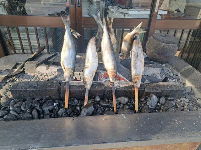 北海道旅遊🥳超高質民宿青塚食堂😍必食新鮮刺身海膽😚燒魚燒帆立貝超好味😍