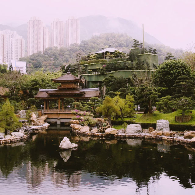 Tranquility Amidst the City: A Visit to Nan Lian Garden