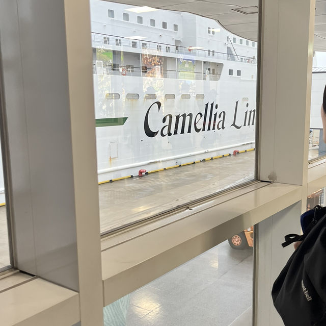 【韓国｜釜山】たまにはゆったりフェリー旅🚢博多〜釜山　カメリア号の船旅