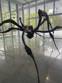 走進路易絲·布爾喬亞的內心世界🕷️Louise Bourgeois特展
