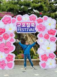 Celebrates the Breathtaking Bloom of Royal Azaleas Flowers