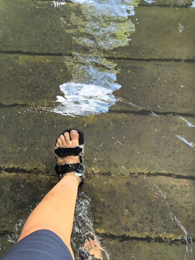 Kilim Geoforest Park Island Hopping: A Journey Through Langkawi’s Natural Wonders 